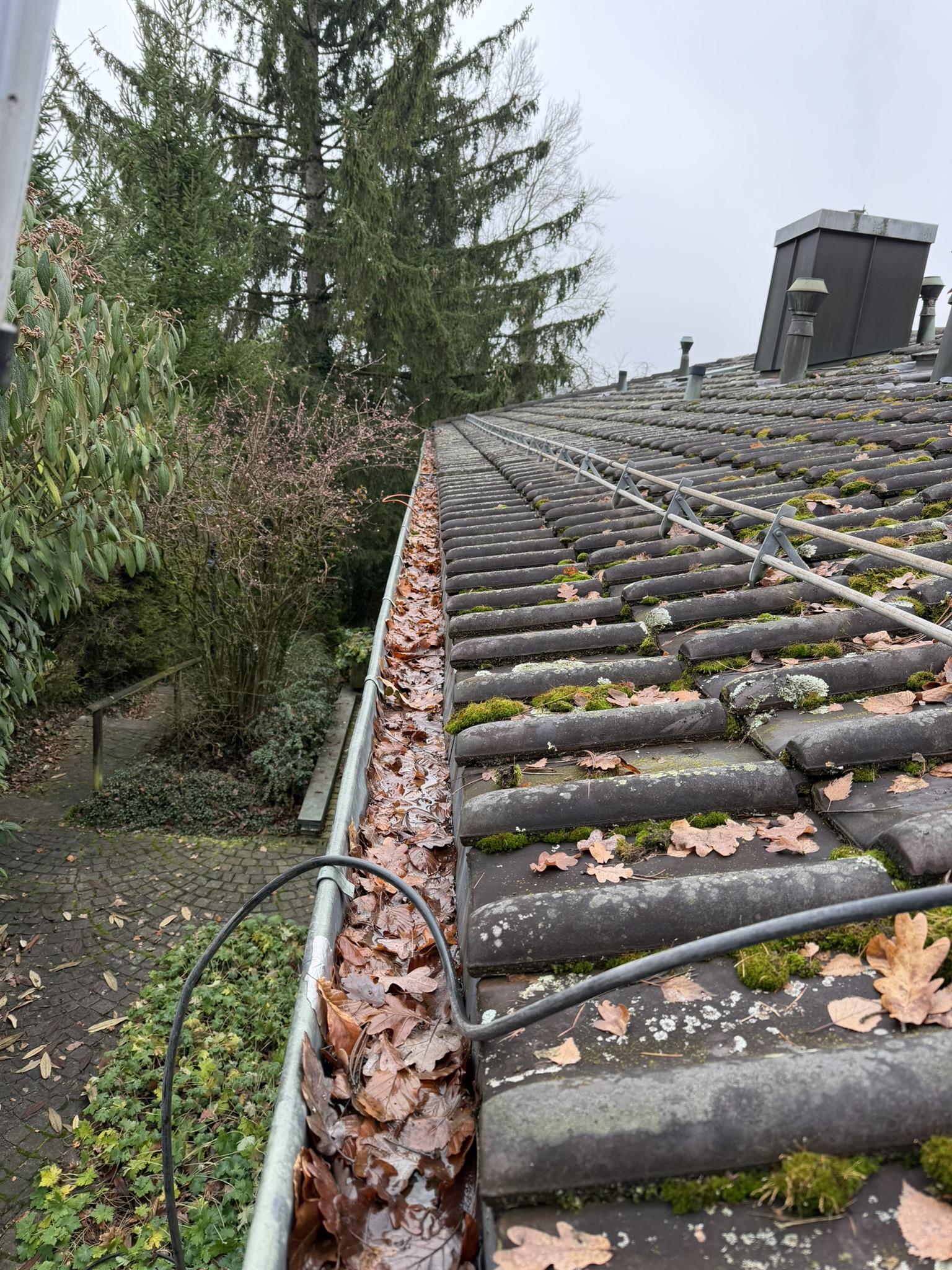Dachreinigung Zollikon — Eco Deck Bedachungen