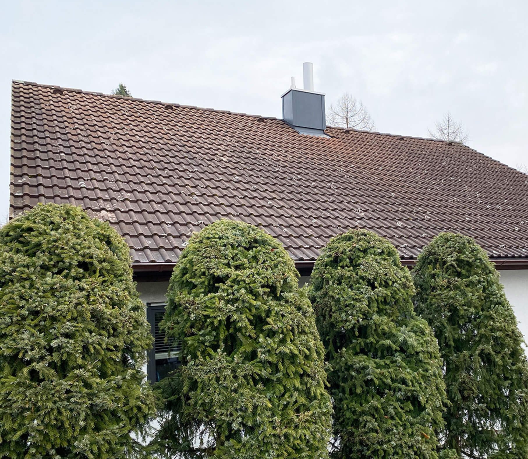 Dachreinigung Zürich — Eco Deck Bedachungen
